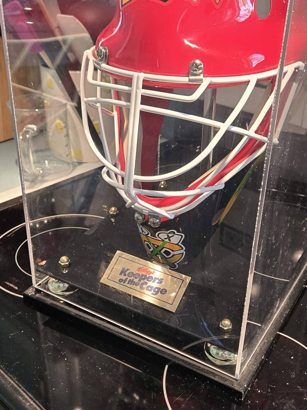 Chicago Blackhawks Goalie Mask